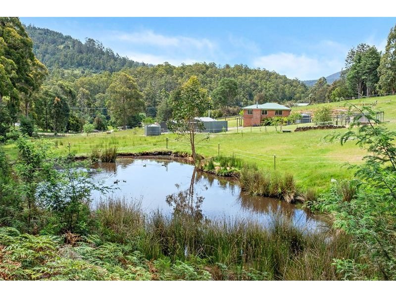 1229 Pelverata Road, Pelverata TAS 7150