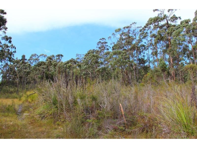 Lot 2 Esperance Coast Road, Surges Bay TAS 7116