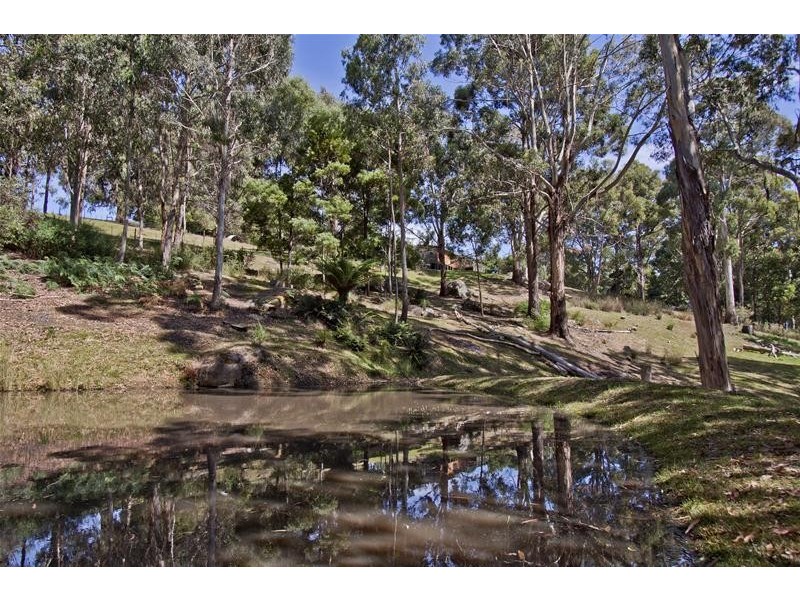 177 Lanes Road, Glen Huon TAS 7109