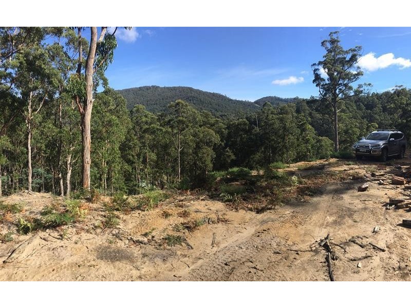 1/1145 Pelverata Road, Pelverata TAS 7150