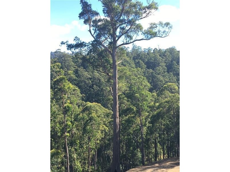 1/1145 Pelverata Road, Pelverata TAS 7150