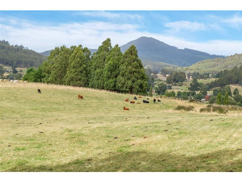 52 Duke Street, Geeveston TAS 7116