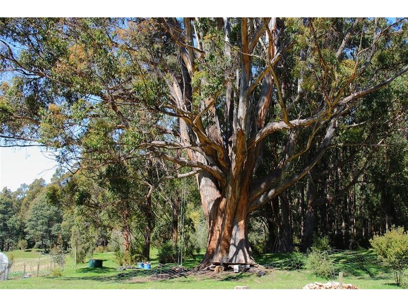 264 Police Point Road, Police Point TAS 7116