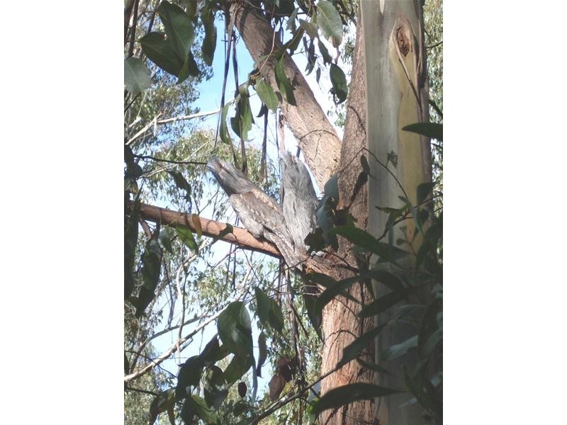 264 Police Point Road, Police Point TAS 7116