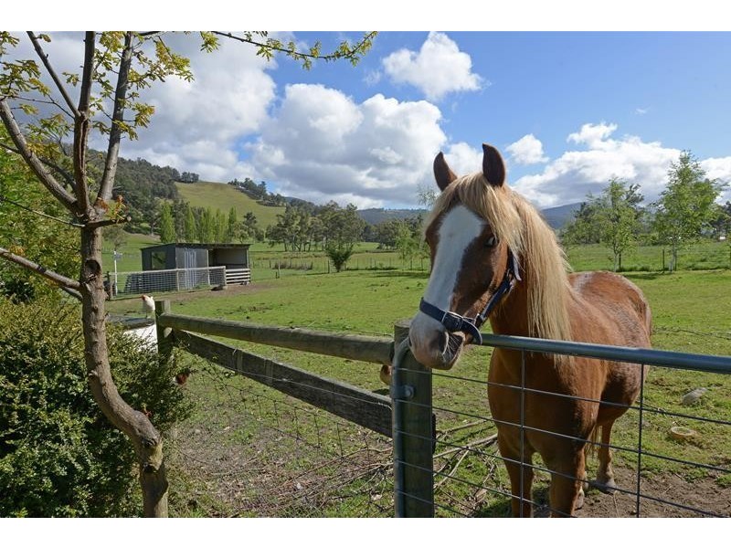 63 Lucaston Link, Ranelagh TAS 7109