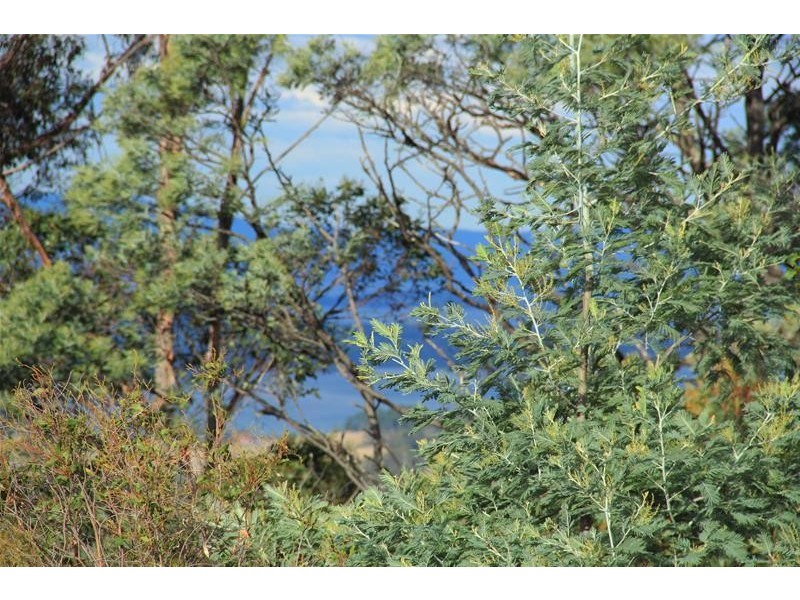 13 Riseleys Road, Lymington TAS 7109