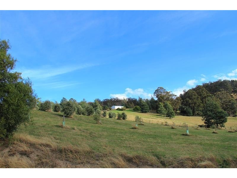 13 Riseleys Road, Lymington TAS 7109