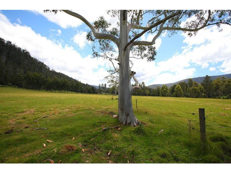 1100 Lonnavale Road, Lonnavale TAS 7109