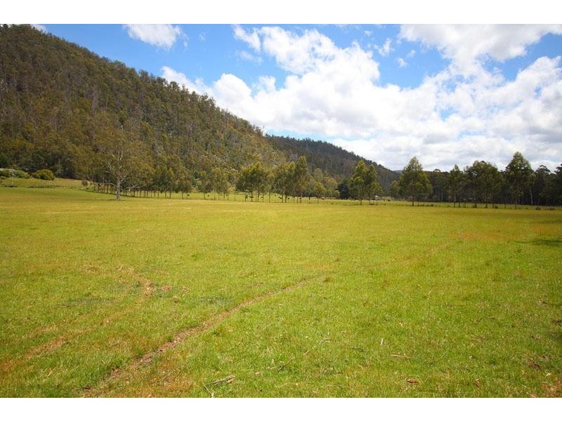 1100 Lonnavale Road, Lonnavale TAS 7109