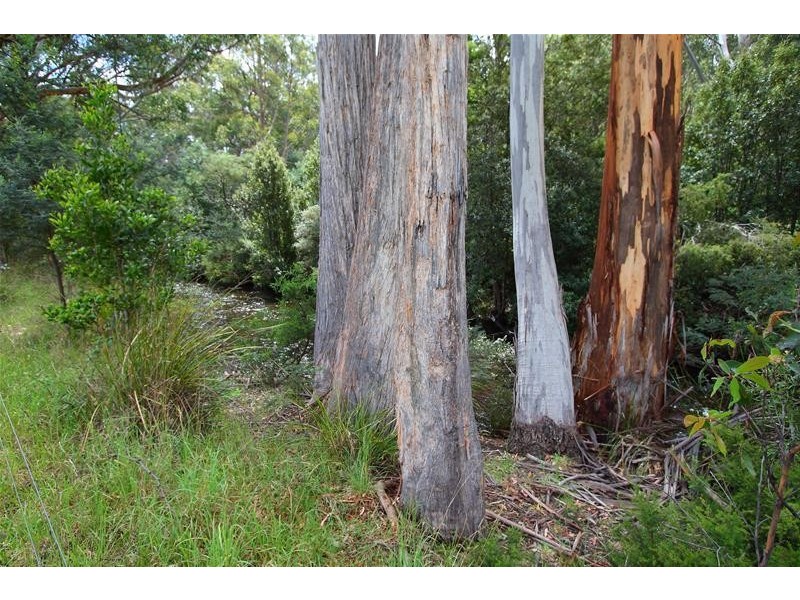 1100 Lonnavale Road, Lonnavale TAS 7109