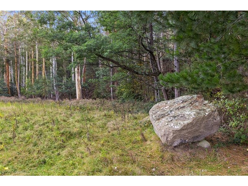 RA Wattle Hill Road, Mountain River TAS 7109