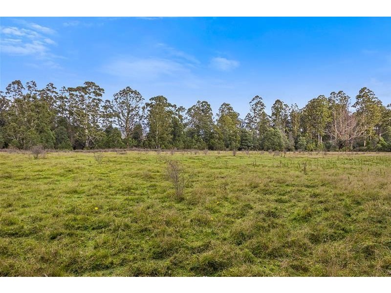 RA Wattle Hill Road, Mountain River TAS 7109