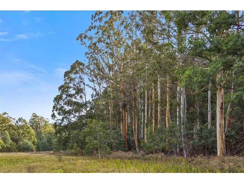 RA Wattle Hill Road, Mountain River TAS 7109