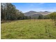 RA Wattle Hill Road, Mountain River TAS 7109