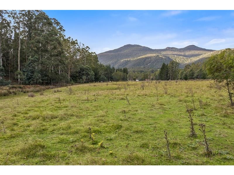 RA Wattle Hill Road, Mountain River TAS 7109