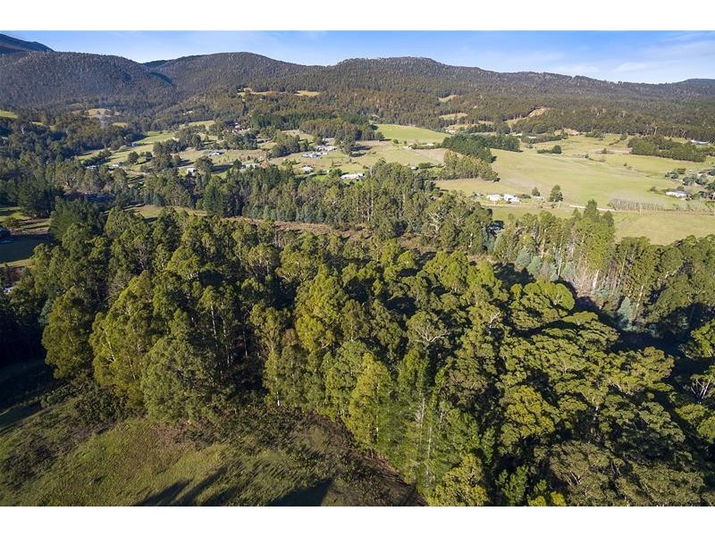 RA Wattle Hill Road, Mountain River TAS 7109
