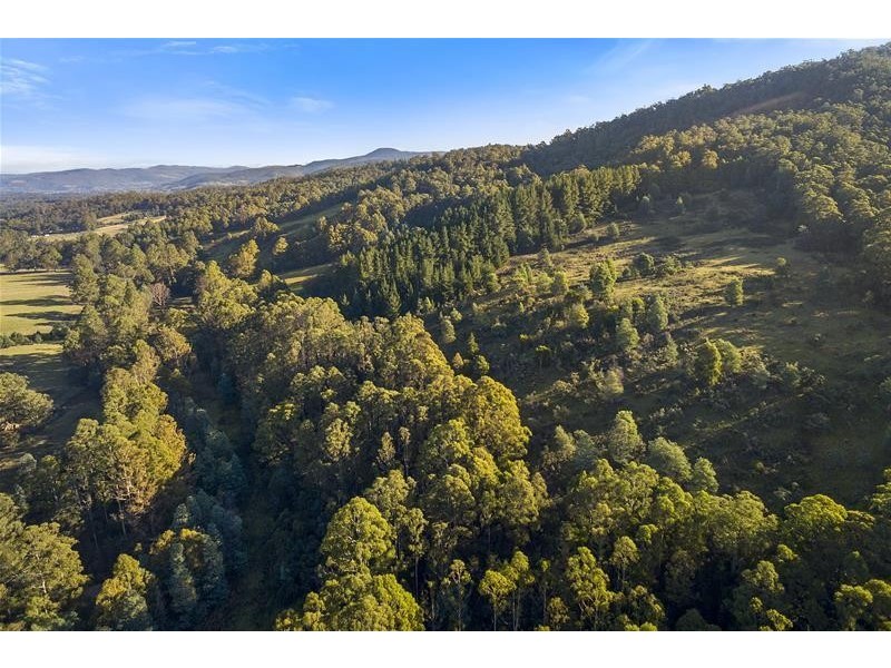 RA Wattle Hill Road, Mountain River TAS 7109