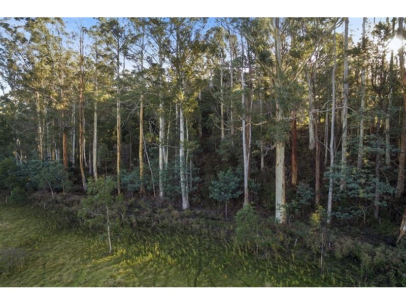 RA Wattle Hill Road, Mountain River TAS 7109