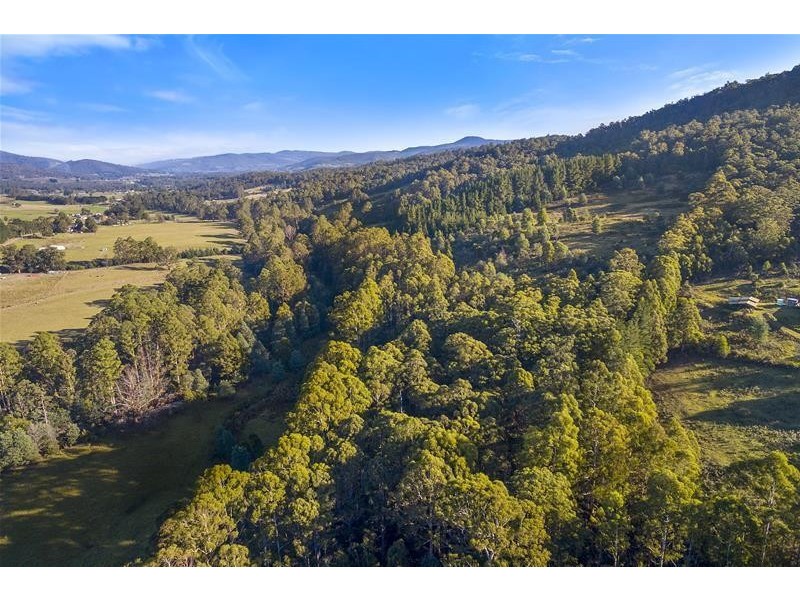 RA Wattle Hill Road, Mountain River TAS 7109