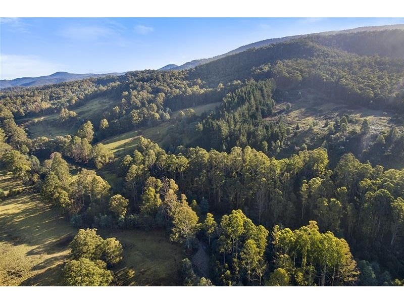 RA Wattle Hill Road, Mountain River TAS 7109