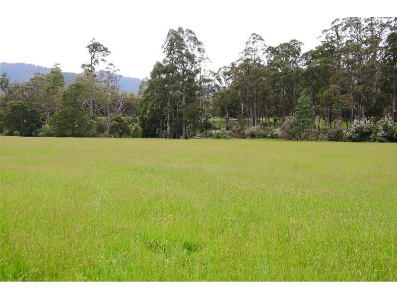 1170 Lonnavale Road, Lonnavale TAS 7109