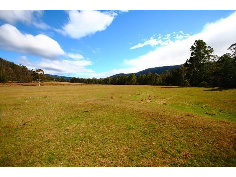 1170 Lonnavale Road, Lonnavale TAS 7109