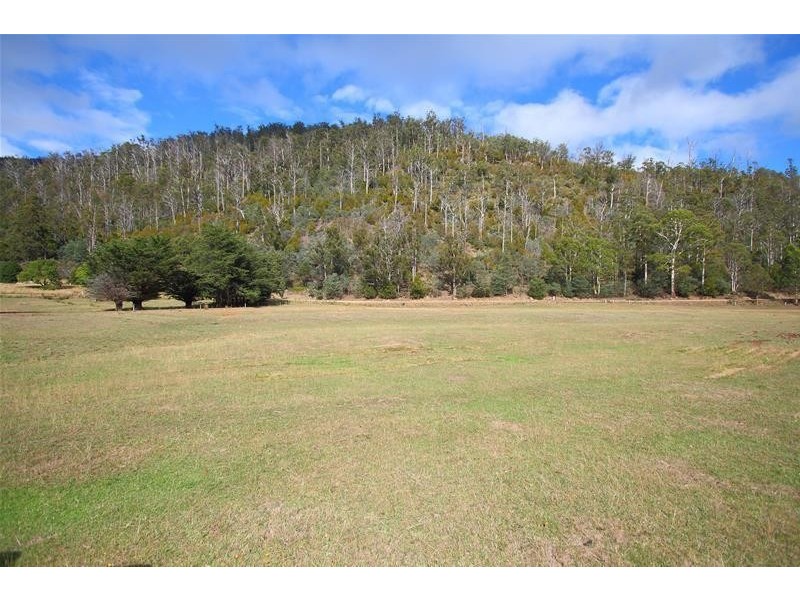 1170 Lonnavale Road, Lonnavale TAS 7109