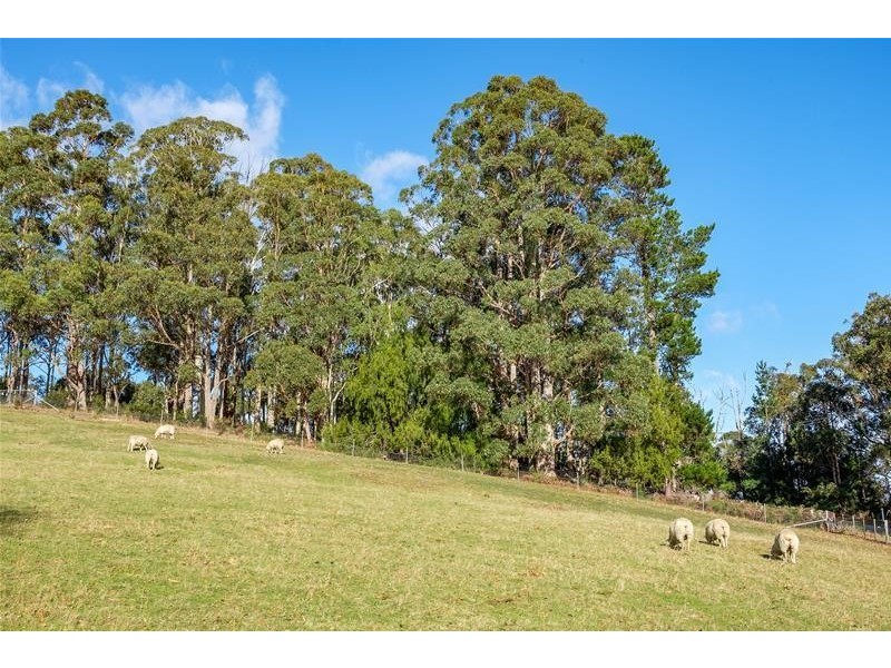 6402 Channel Highway, Randalls Bay TAS 7112