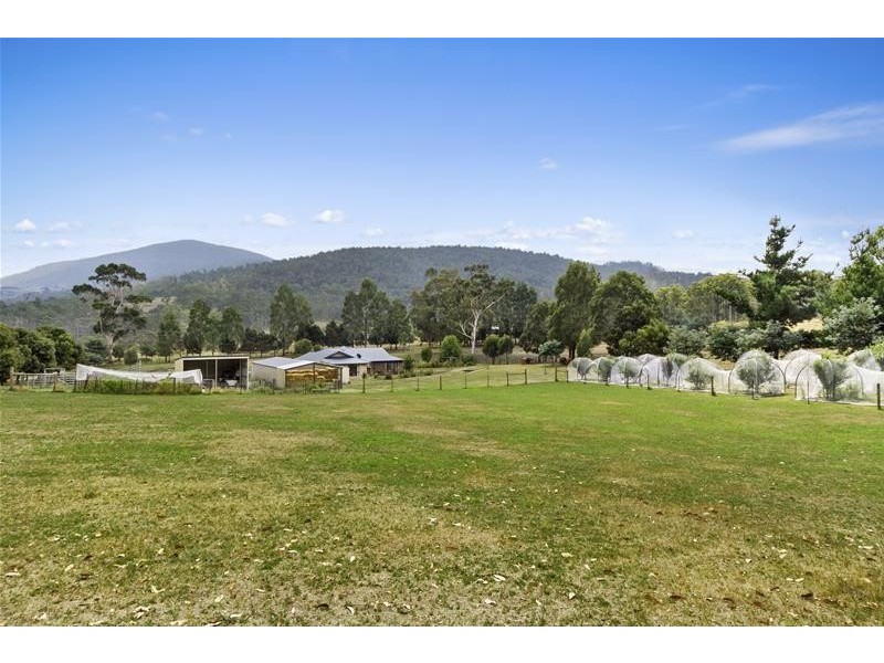 128 Judds Creek Road, Judbury TAS 7109
