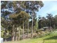 1524 Esperance Coast Road, Dover TAS 7117