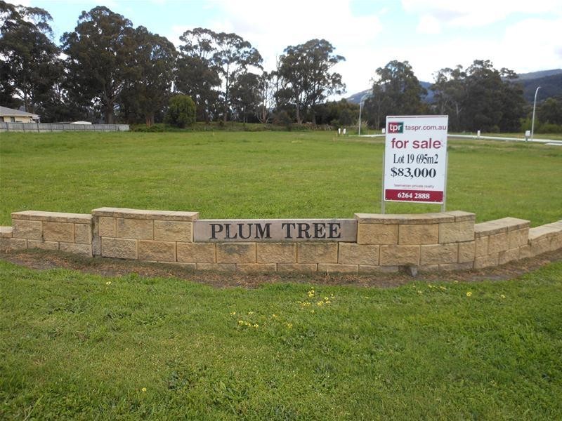 2 Plum Tree Close, Huonville TAS 7109