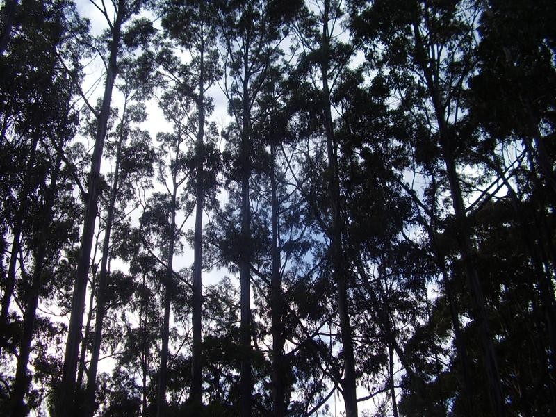 LOT 3 6900 Huon Highway, Dover TAS 7117