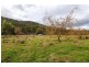 382 Crabtree Road, Crabtree TAS 7109