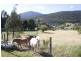 104 Judds Creek Road, Judbury TAS 7109