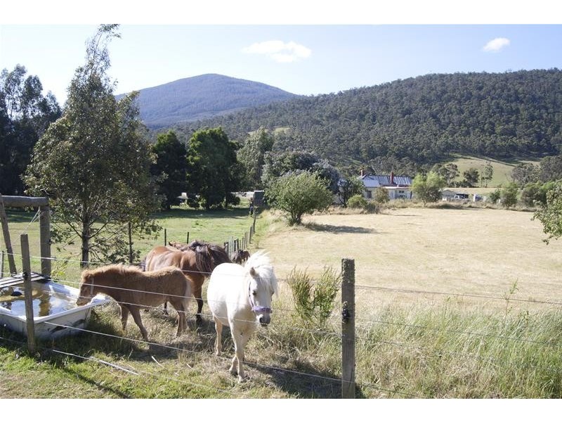 104 Judds Creek Road, Judbury TAS 7109