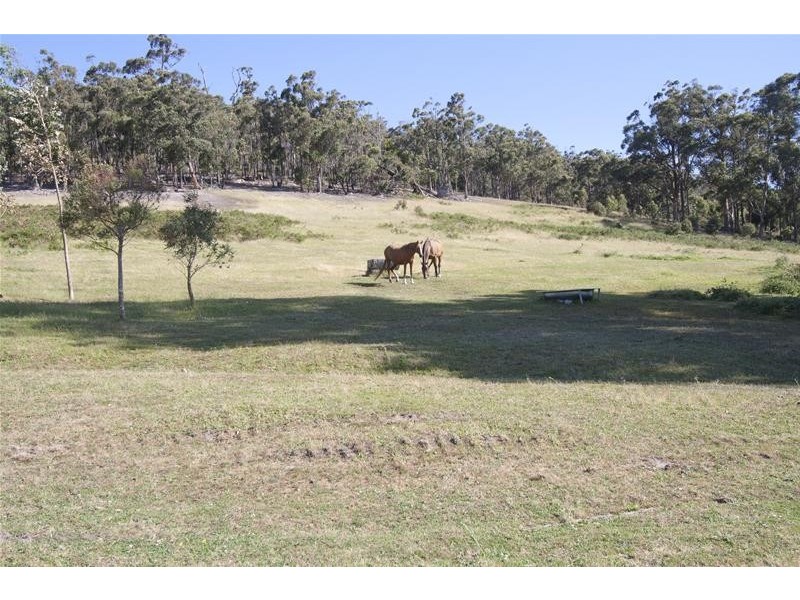 104 Judds Creek Road, Judbury TAS 7109