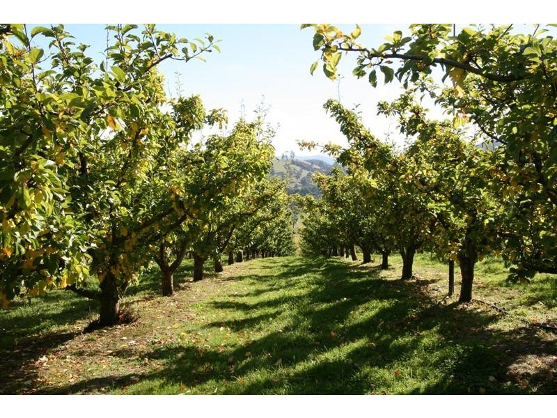 LOT 1 Scotts Road, Geeveston TAS 7116