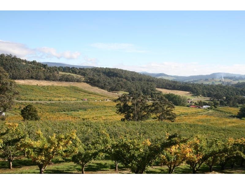 LOT 1 Scotts Road, Geeveston TAS 7116