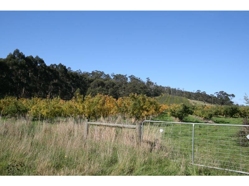 LOT 1 Scotts Road, Geeveston TAS 7116