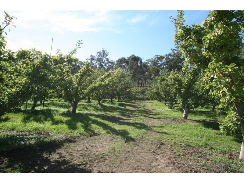 LOT 1 Scotts Road, Geeveston TAS 7116