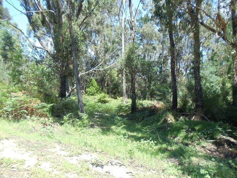 LOT 1 Glen Huon Road, Huonville TAS 7109