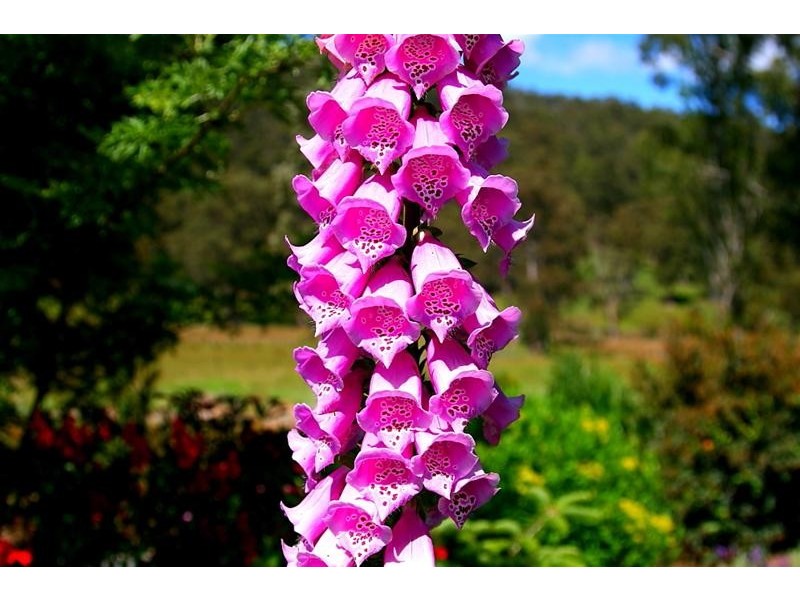 80 Britcliffes Road, Geeveston TAS 7116