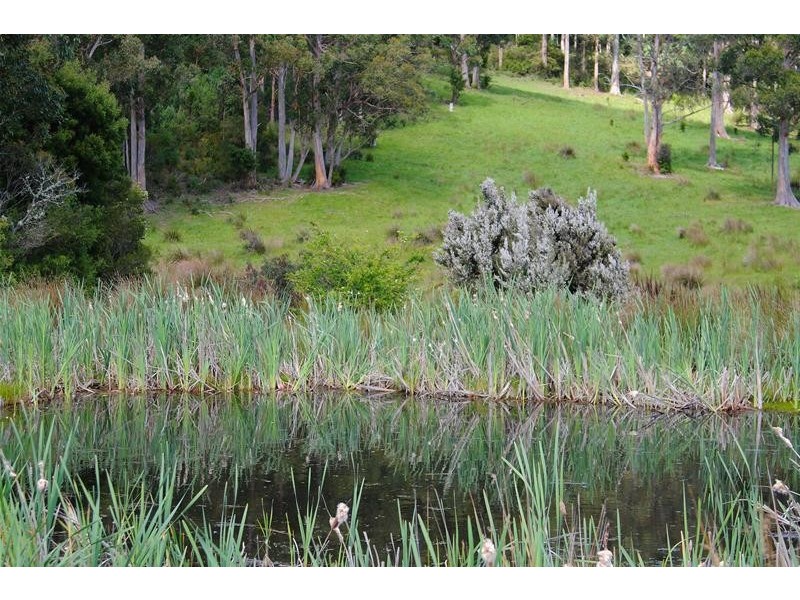 80 Britcliffes Road, Geeveston TAS 7116