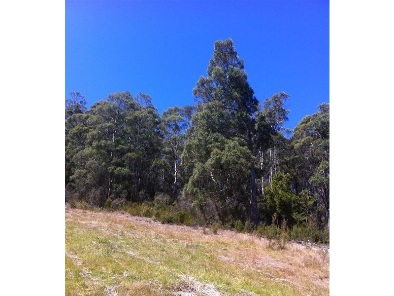 Lot 2 Rocky Creek Road, Crabtree TAS 7109