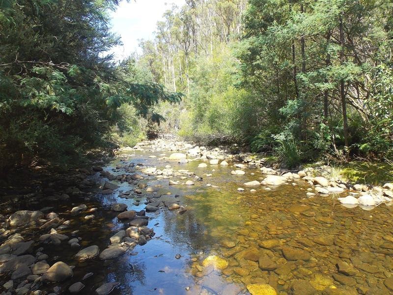 361 Judds Creek Road, Judbury TAS 7109