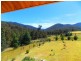 361 Judds Creek Road, Judbury TAS 7109