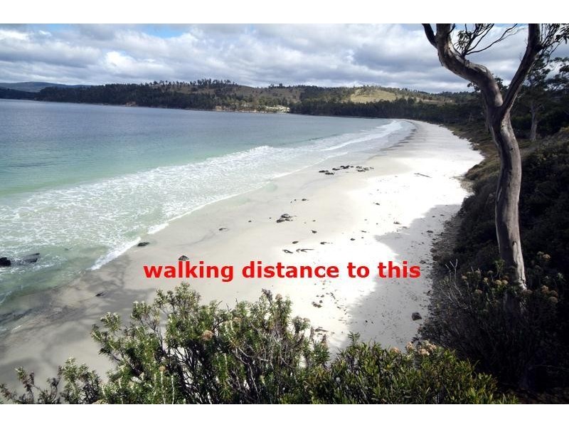 69 Dunn Drive, Surveyors Bay TAS 7116