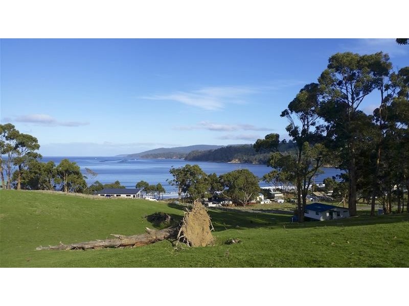 69 Dunn Drive, Surveyors Bay TAS 7116