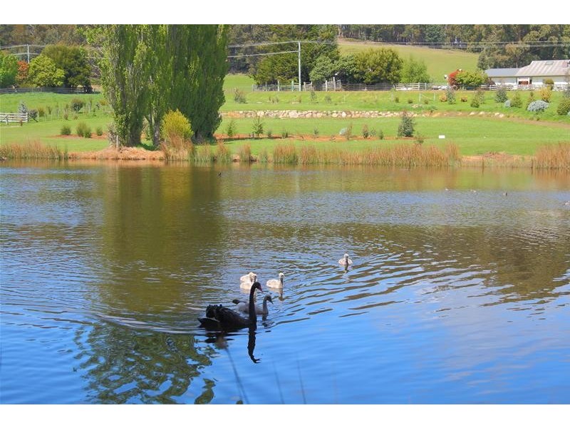 145 Allens Rivulet Road, Allens Rivulet TAS 7150