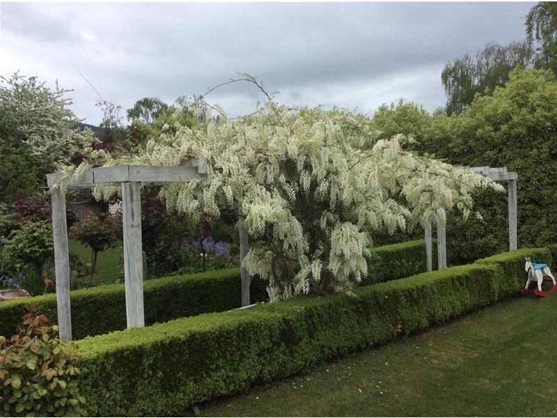 1 Walton Street, Huonville TAS 7109